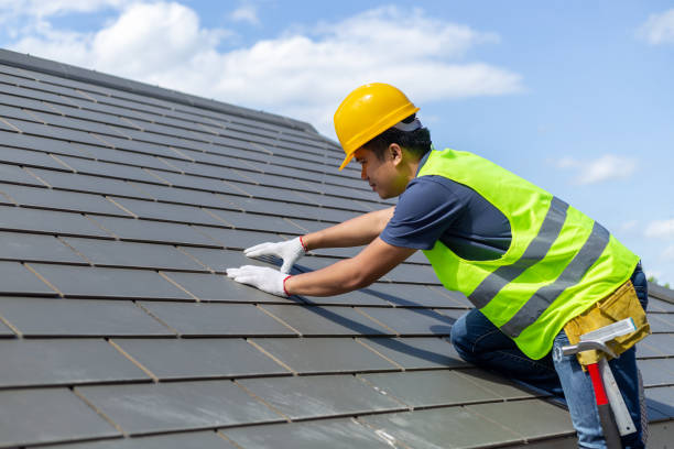 Roof Gutter Cleaning in Wayne, PA